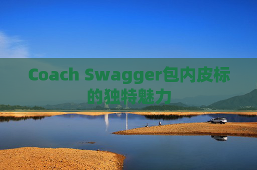 Coach Swagger包内皮标的独特魅力 Coach Swagger包内皮标的独特魅力